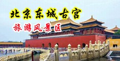 操死骚母狗中国北京-东城古宫旅游风景区
